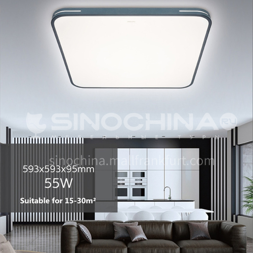 led living room light modern nordic light black and white rectangular ultra-thin ceiling light PHILIPS-GQ